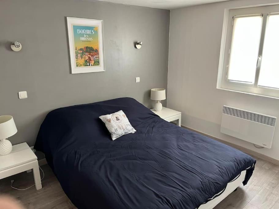 Bas De Villa 70M2 Independant Avec Espace Jacuzzi Prive Le Lavandou Eksteriør bilde